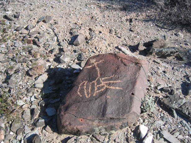 This petroglyph was found on the flats near the trail.