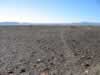 The trail appears headed towards the Mule Mountains.  The Mule Tank petroglyphs are about 8 miles from our present location.  (102kb)