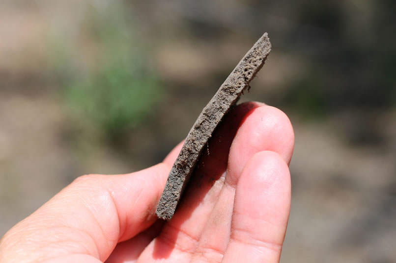 Here's a side view close-up of one of the pottery fragments.