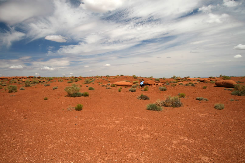 Although we're not having much luck finding petrified wood, we somehow just know that something else will turn up.  It always seems to out in the desert.  Sure enough, Niki excitedly shouts out something about a lizard!