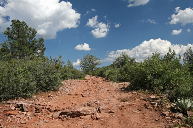 The road gets a bit rougher as we edge our way up to the collecting area.  We're now near the Mogollon Rim and even though it's summer, the temperatures are perfect to hunt for the remarkably clear quartz crystals that are found here.  Many collectors feel, in fact, that these crystals rival the famed Herkimer diamonds of New York.