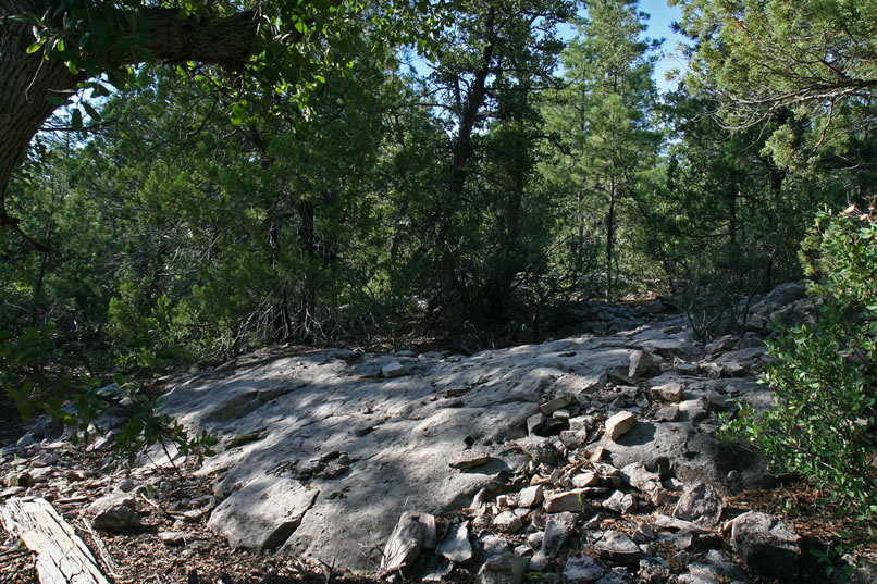 These worn rocks show no evidence of quartz.