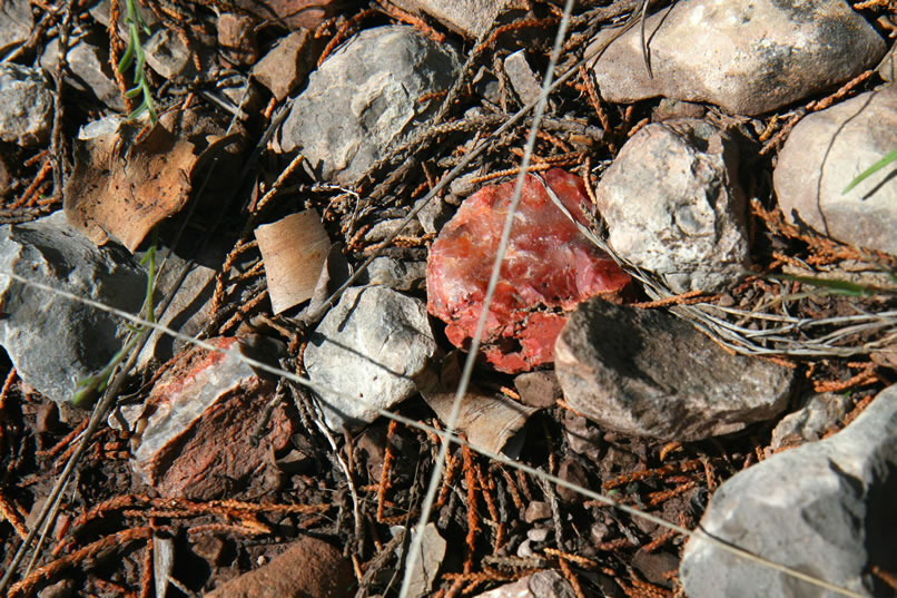 As we hunt around, we also notice some nice reddish agate chunks.