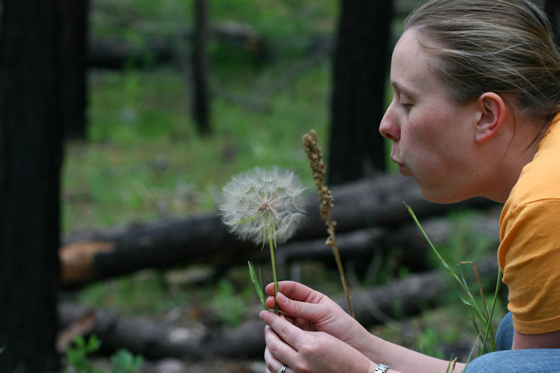 Make a wish, Joyce!