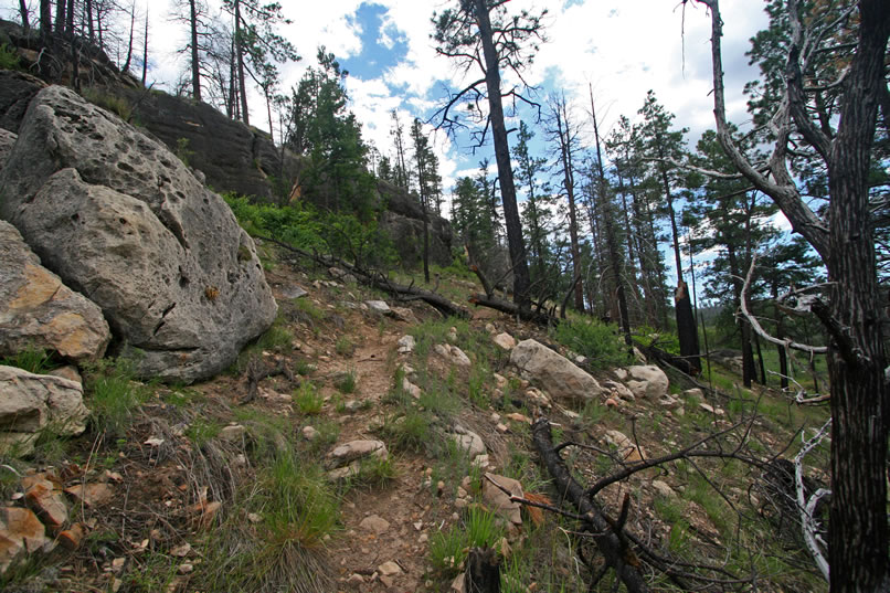 After crossing a stream and wandering through a meadow, the trail finally begins to climb up to the shelter.