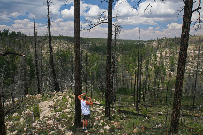 Niki's Dad, who is heading to Heber as we are for the big family reunion, was able to reach us by phone while he was fishing at Black Canyon Lake and made plans to join us at the rock shelter.  Here, he's climbed up above the shelter with Niki and is checking out the surrounding area.