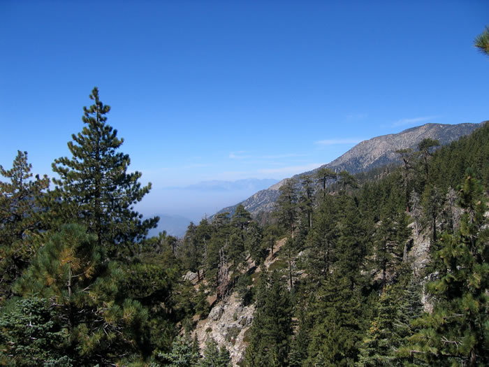 In the distance is Mount San Antonio, otherwise known as Mt. Baldy.  Its elevation is 10, 064'.