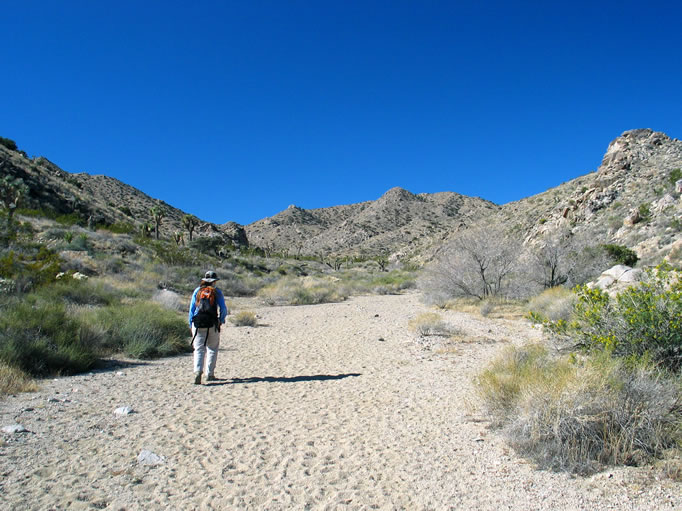 Niki crunches her way up Pinyon Wash.
