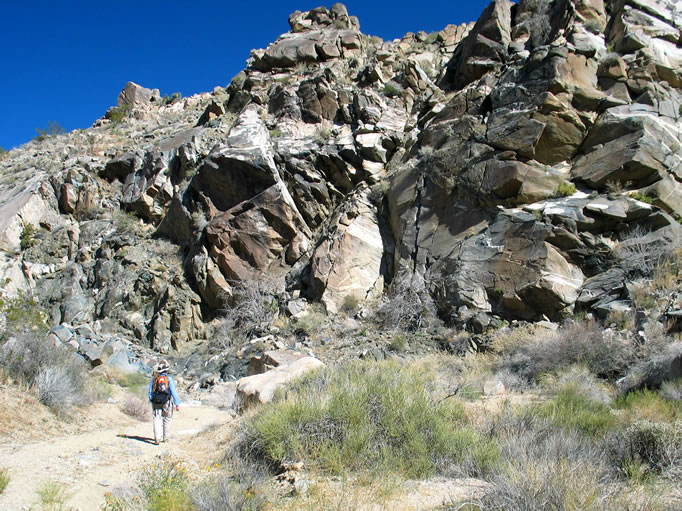 We decide to explore a bit further up the wash, and are glad that we did!