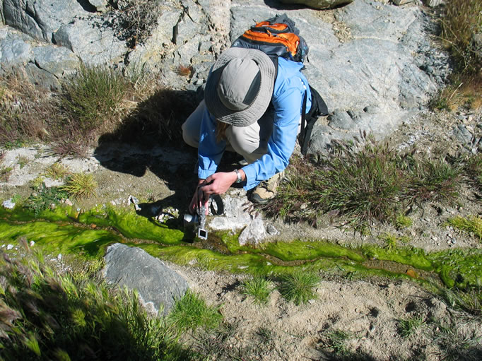 We never expected to find so much flowing water in a desert canyon.