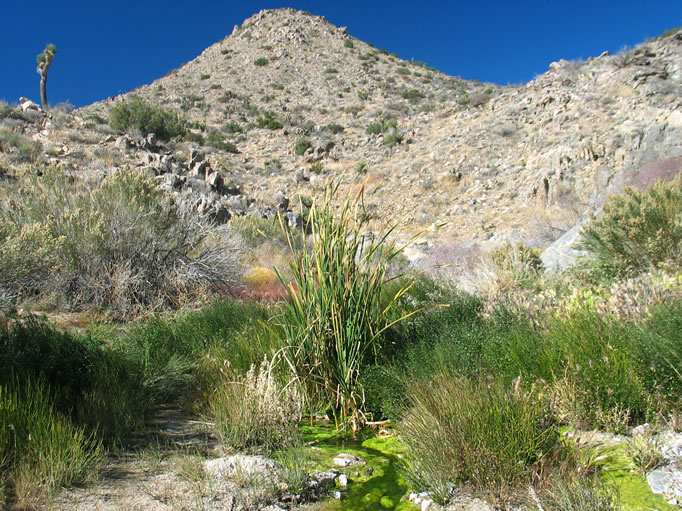 This area has been designated for day use only.  No camping is allowed so that the animals will have complete access to the water at night.