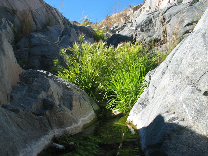 Several small waterfalls gurgle into pools in the rocks below.