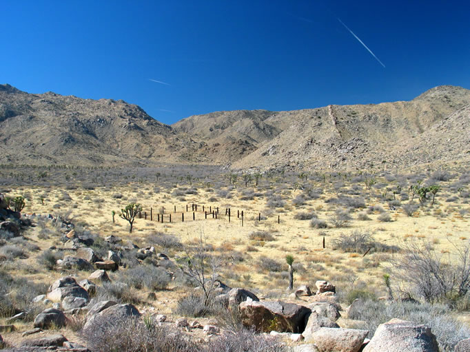 Looking down at his corral from the site of his wood and canvas shack.