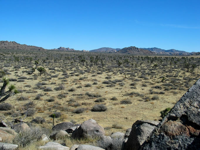 As we hunted for the last three rocks we enjoyed the great views from the hill.