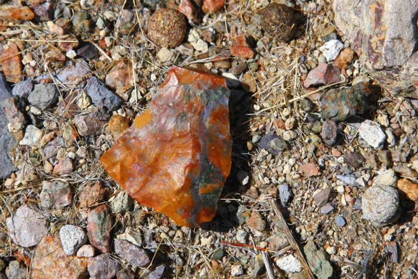 Just one of the numerous chips found near the two points.  The chips are predominantly agate and jasper and are not found naturally in the immediate area.
