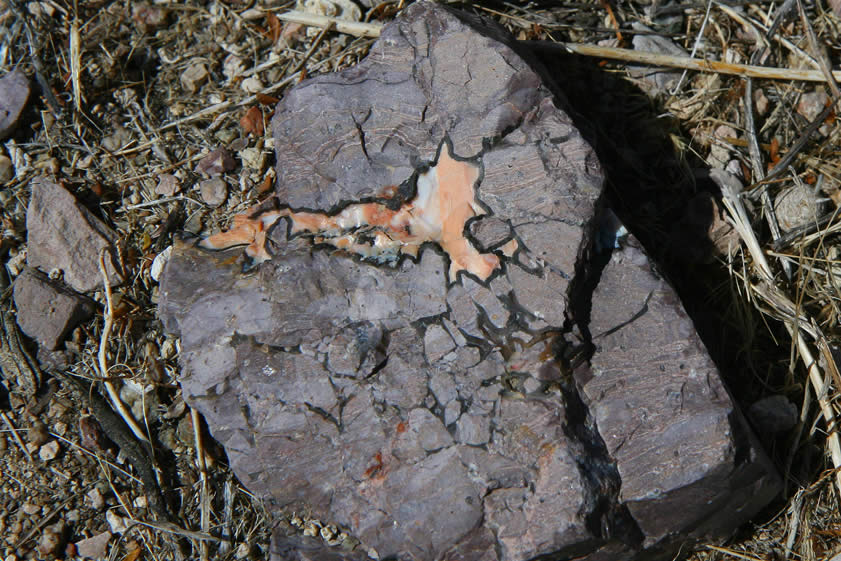 A colorful seam of common opal.