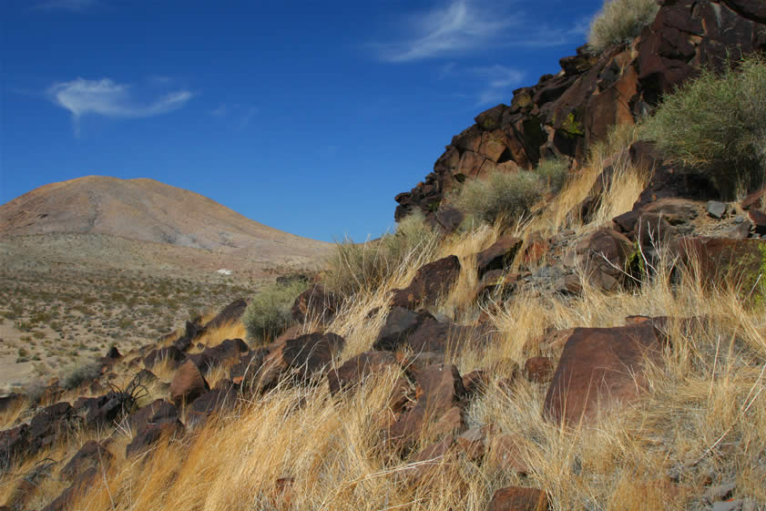 Our next hunt proves to be much easier.  A short drive and a steep scramble up the slopes of a basalt-capped mesa takes us right into the center of the petroglyphs in the following photos.