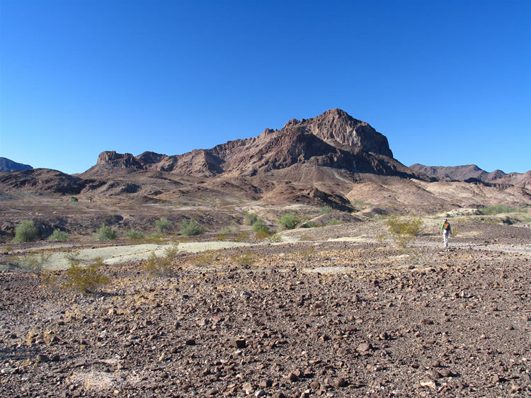 Numerous game trails converge on Clapp Spring and we're not surprised when we startle a mule deer in one of the washes.  Of course it's long gone before we can get our cameras into action.