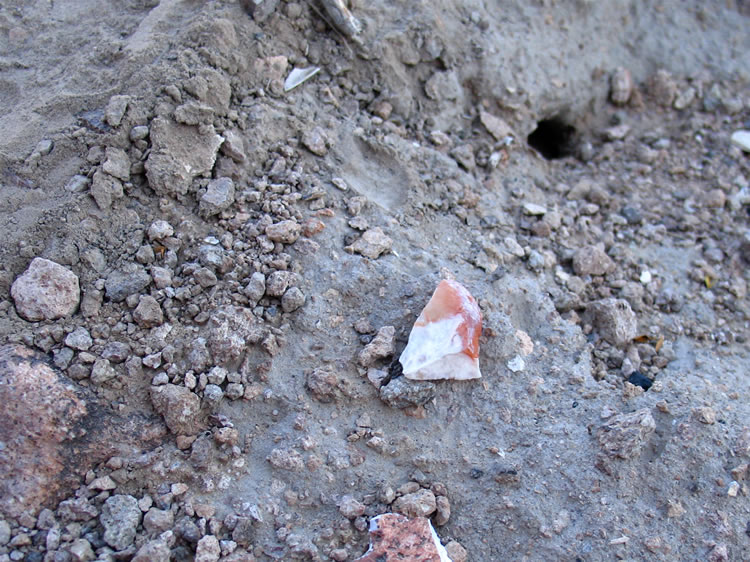 On the shelf in front of the shelters are chips of agate and jasper left over from prehistoric tool making.