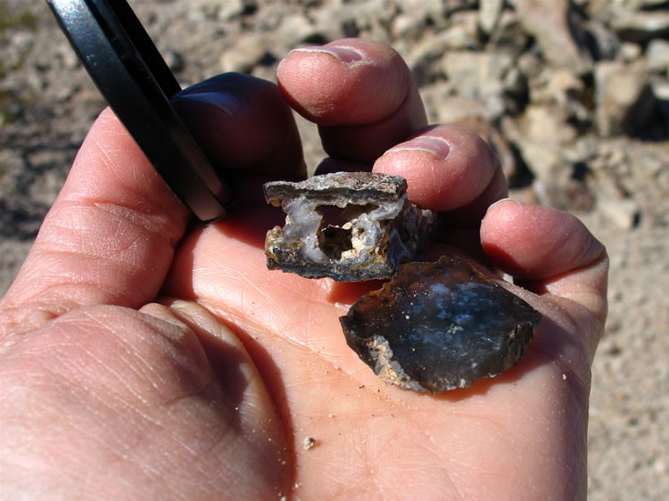 A closer look turns up chunks of black agate and numerous forms of chalcedony.  Niki gets the message on her radio and begins to head this way.