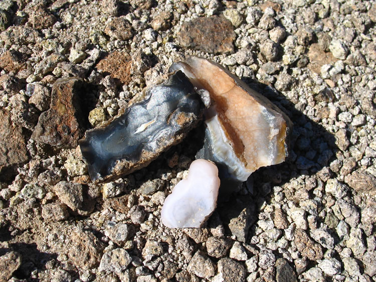 As we scour the area we come up with lots of interesting rocks, but no really nice tube agate specimens yet.