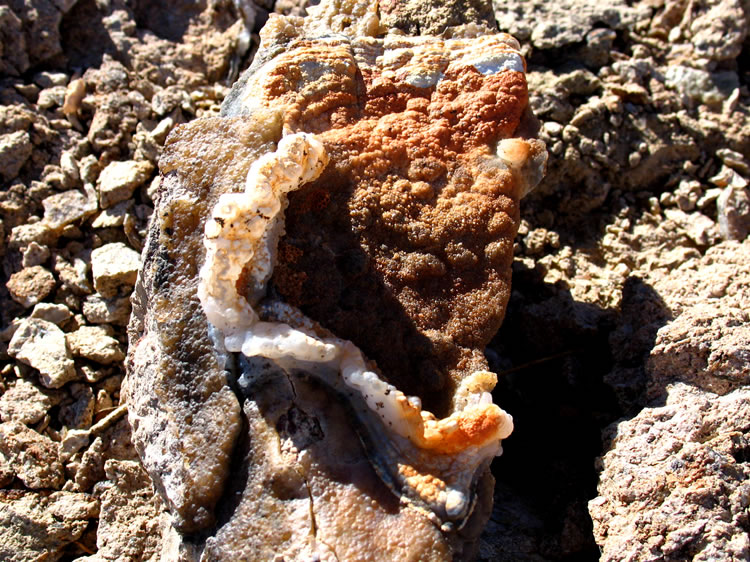 This funky looking caterpillar shaped semi-circular tube on a bubbly chalcedony plate is rather interesting, but still not the classic one that we're after.