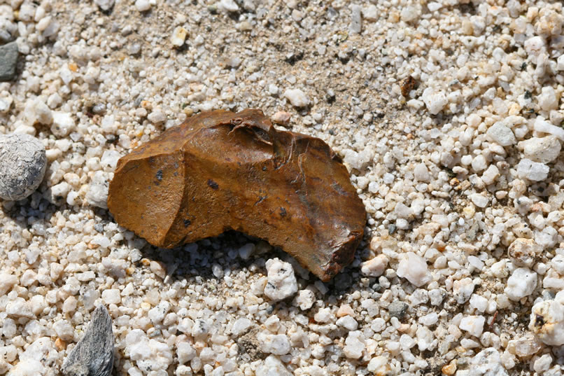 A weathered piece of jasper.