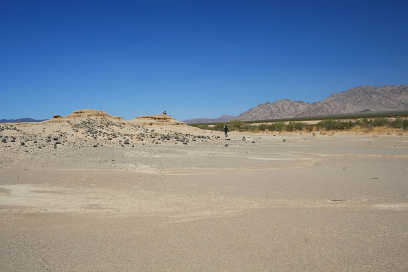 Niki arrives at the knoll.  It stretches the imagination to realize that at this spot, around a million years ago, there would have been lakes and swamps and a dizzying array of Pleistocene vertebrates.