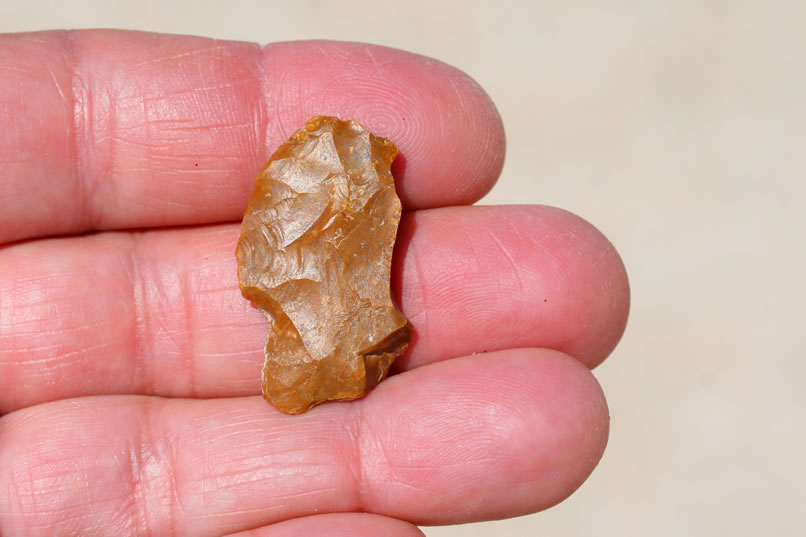 Finally, just as we're about to give up, we spot a fragment of what looks very much like a Pinto point.  These points are thick and triangular in shape , with notched shoulders and a broad stem.  The Pinto hunters attached the points to wooden spear shafts and used an atlatl to launch them.  This one appears to have fractured along the right side from a bit below the tip all the way to the base.  Still, it's a nice find.