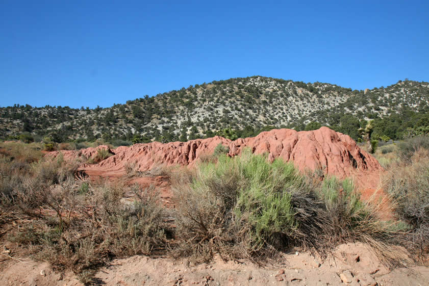 These are the distinctively colored tailings from the site of the new 40 stamp mill built in 1897.   There was quite a little village here consisting of miners' cabins, a store, a boarding house and even a school.  None of these structures are left standing today.