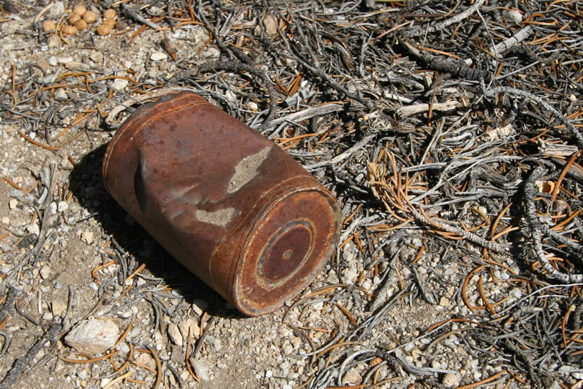 A few old hole and cap cans are scattered around the area and bear mute testimony to the bustle that once took place here.