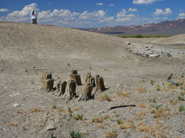 A few desiccated pilings and a low rock wall are all that remain of the once bustling mill.