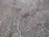 Another closeup. (90kb)