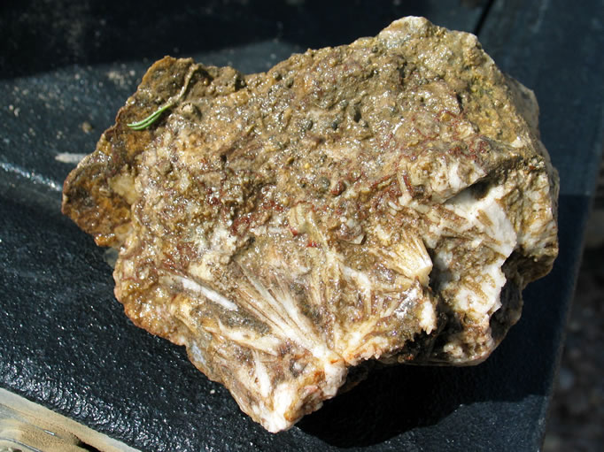 Some sagenite rough from one of the side canyons.  We did not split any rocks, so don't know what's inside this one.