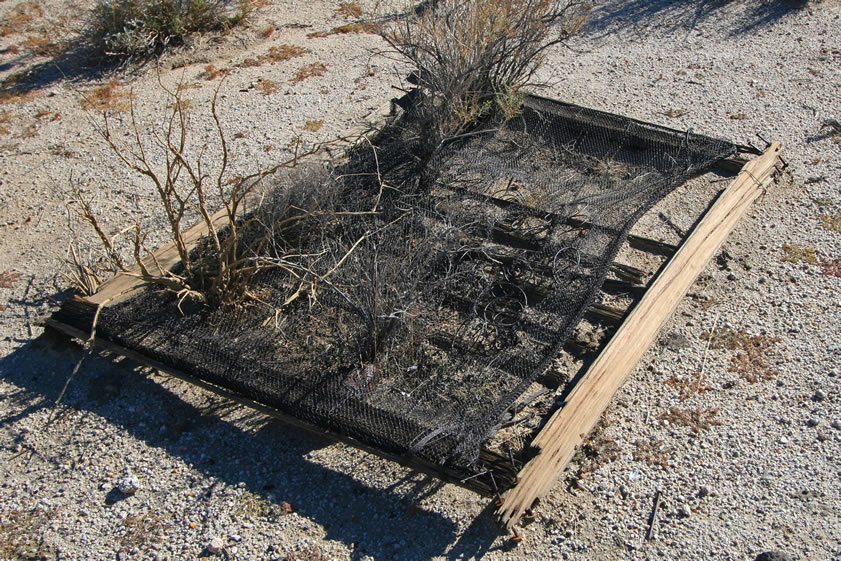 Here's another bed frame with a woven wire mattress that we find nearby.  There were so many bed frames, in fact, that we feel this must have been a well populated little camp.