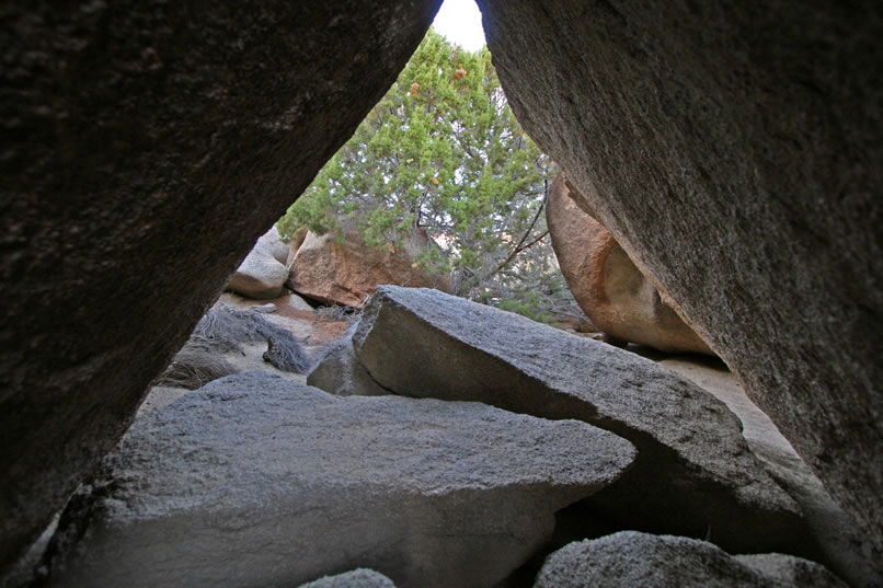 Looking out from inside the shelter.