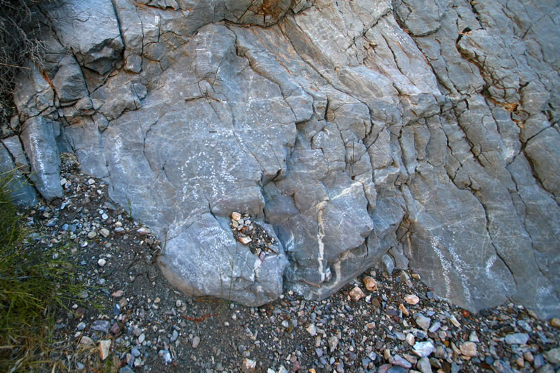 A bighorn petro at the base of the rock wall.