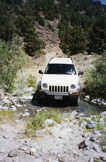 One of several stream crossings.