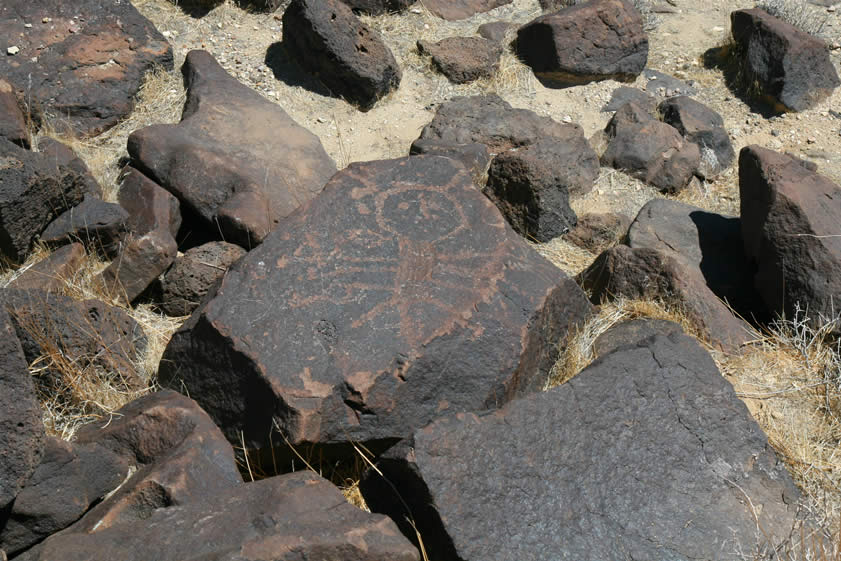 We knew that this relatively well known petroglyph was in the area but it took a lot of hunting to find it.  It's been referred to as The Bugman Petroglyph and certainly does look distinctive.