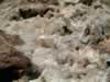 The steep climb pays of with rhombohedral calcite crystals. (84kb)