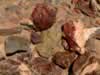 A close-up of the material that can be found at the jasper hills. (99kb)