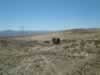 A trip up a side wash revealed a headframe and shaft. (62kb)