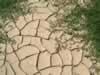 It's dry now, but you can see by the vegetation that it provided needed water. (107kb)