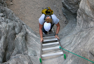 ladder