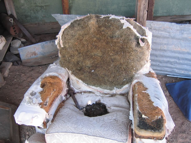 Nothing like an easychair after a hard days prospecting.