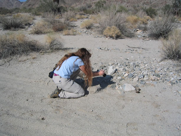 Niki takes a picture of a fishook cactus.