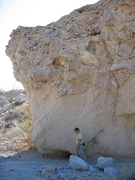 Interesting sandstone and conglomerate outcrop.