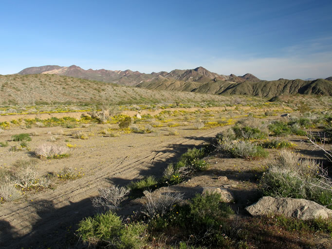 While Niki loaded up her backpack Jamie took some pictures of the wash in which we camped last night.