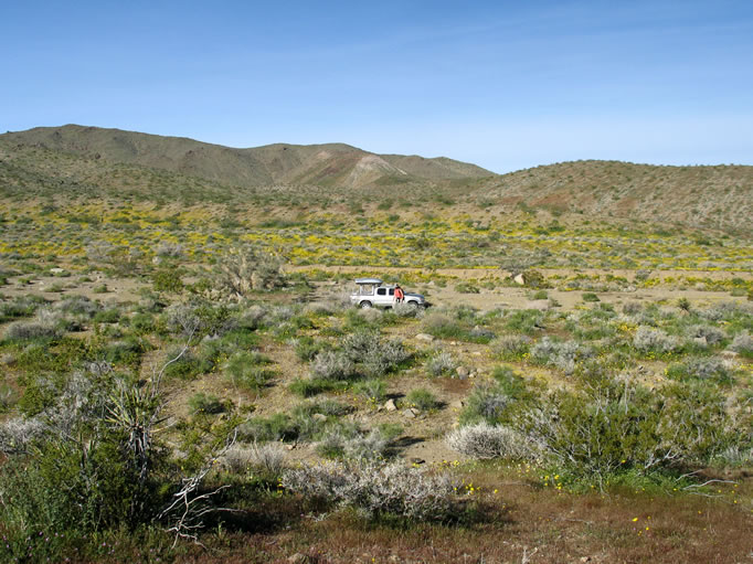 The hike to what we hoped would be a petroglyph area was like hiking through a garden.
