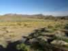 While Niki loaded up her backpack Jamie took some pictures of the wash in which we camped last night. (99kb)